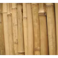 Бамбуковые колья от 295 см 22/24 мм